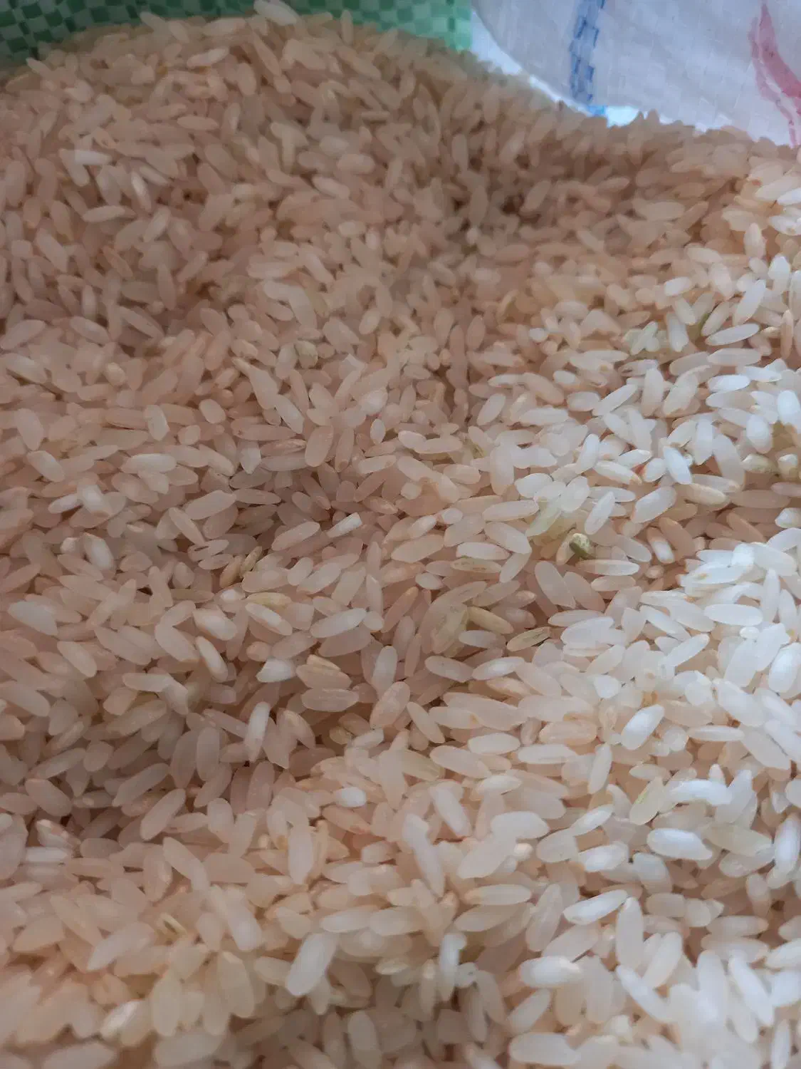 برنج  کامفیروری و خرده برنج کامفیرور و فجر|خوردنی و آشامیدنی|شیراز, میانرود|دیوار
