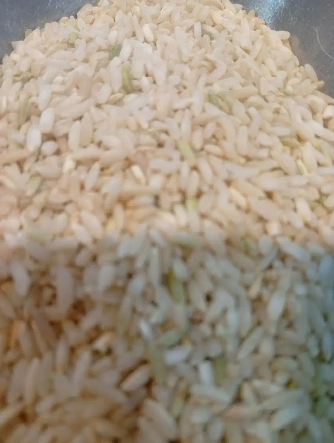 برنج چمپا|عمده‌فروشی|چیتاب, |دیوار