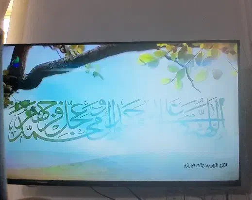 تلوزیون ۴۳ مدل sam|تلویزیون و پروژکتور|بم, |دیوار