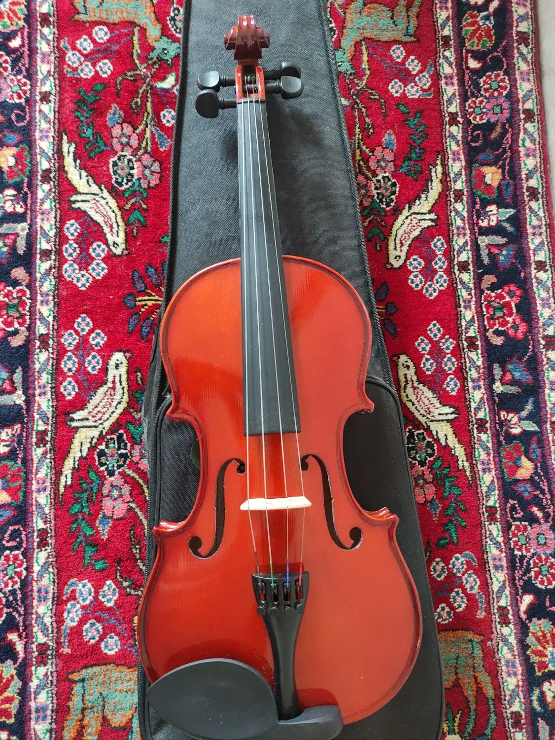 ویولن رناتو|ویولن|کرمانشاه, |دیوار