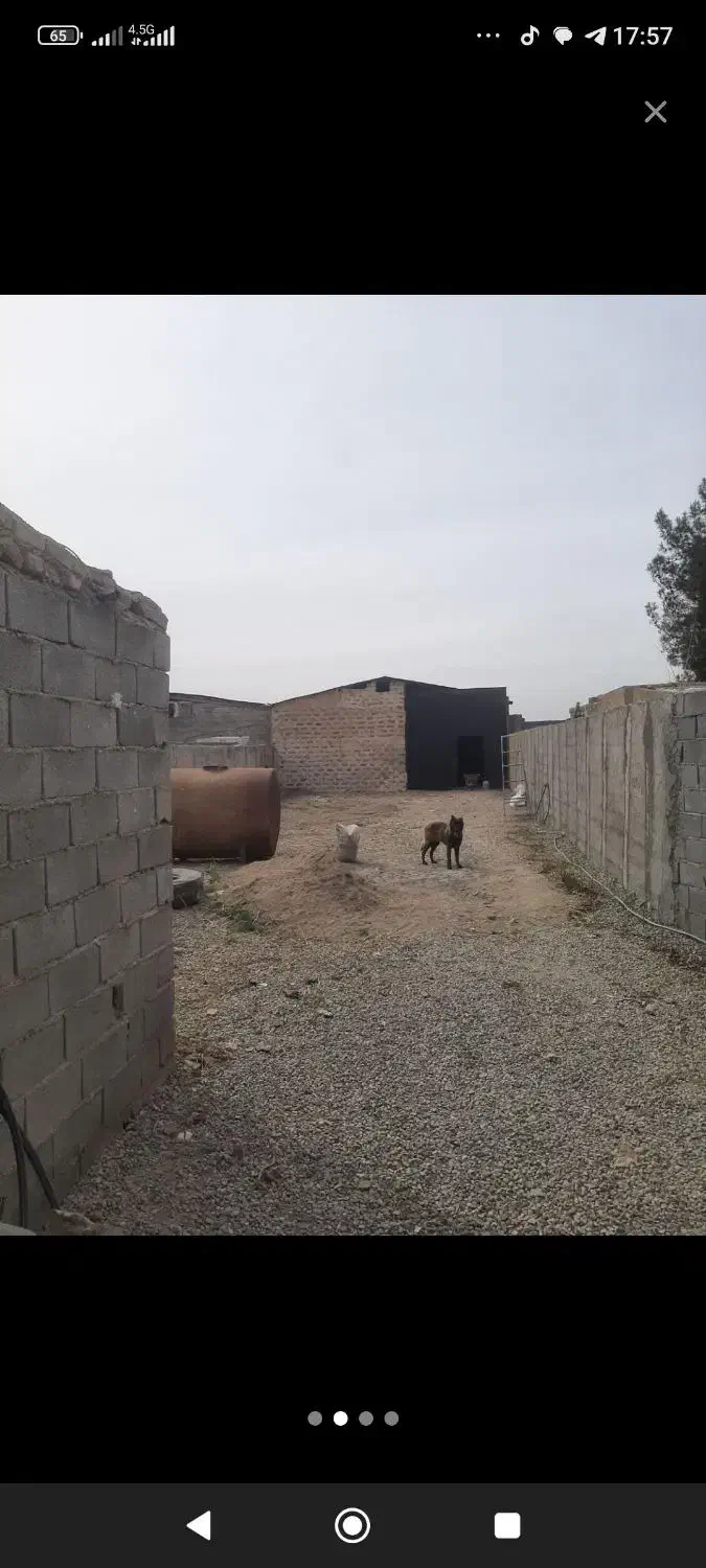 کارگاه فروشی ۴۱۵ متری|فروش دفتر صنعتی، کشاورزی، تجاری|قرچک, داوود آباد|دیوار