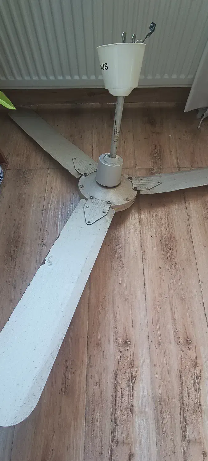 پنکه سقفی TANUS|پنکه و تصفیه‌کنندهٔ هوا|رودسر, |دیوار