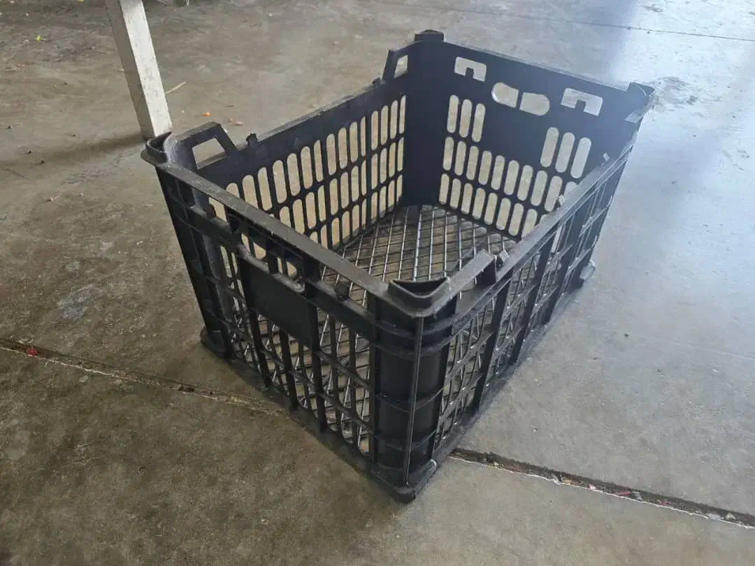 سبد۱۴کیلویی مشکی|ظروف نگهدارنده، پلاستیکی، یکبارمصرف|رودسر, |دیوار