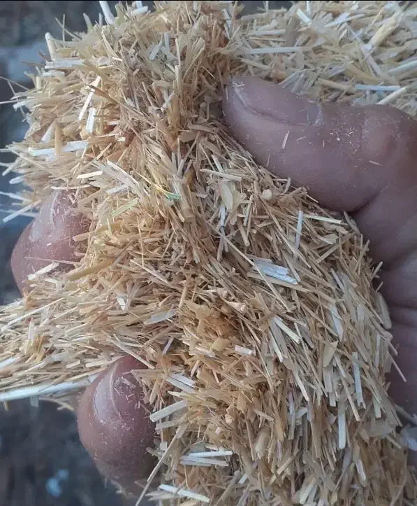 فروش کاه گندم لوبیا نخود وسفال گندم|لوازم جانبی حیوانات|گلپایگان, |دیوار