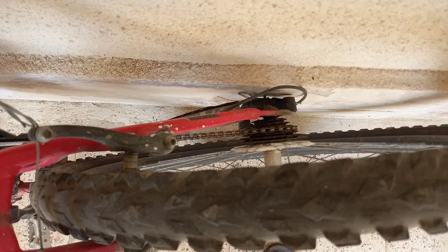 دچرخه فوق‌العاده همه چیز سالم|دوچرخه، اسکیت، اسکوتر|محمدیه-قزوین, |دیوار