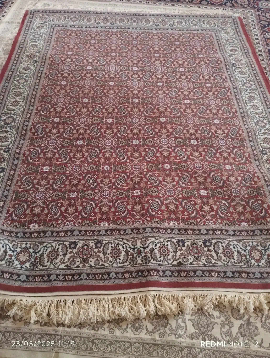 فرش دستبافت|فرش|بیرجند, |دیوار