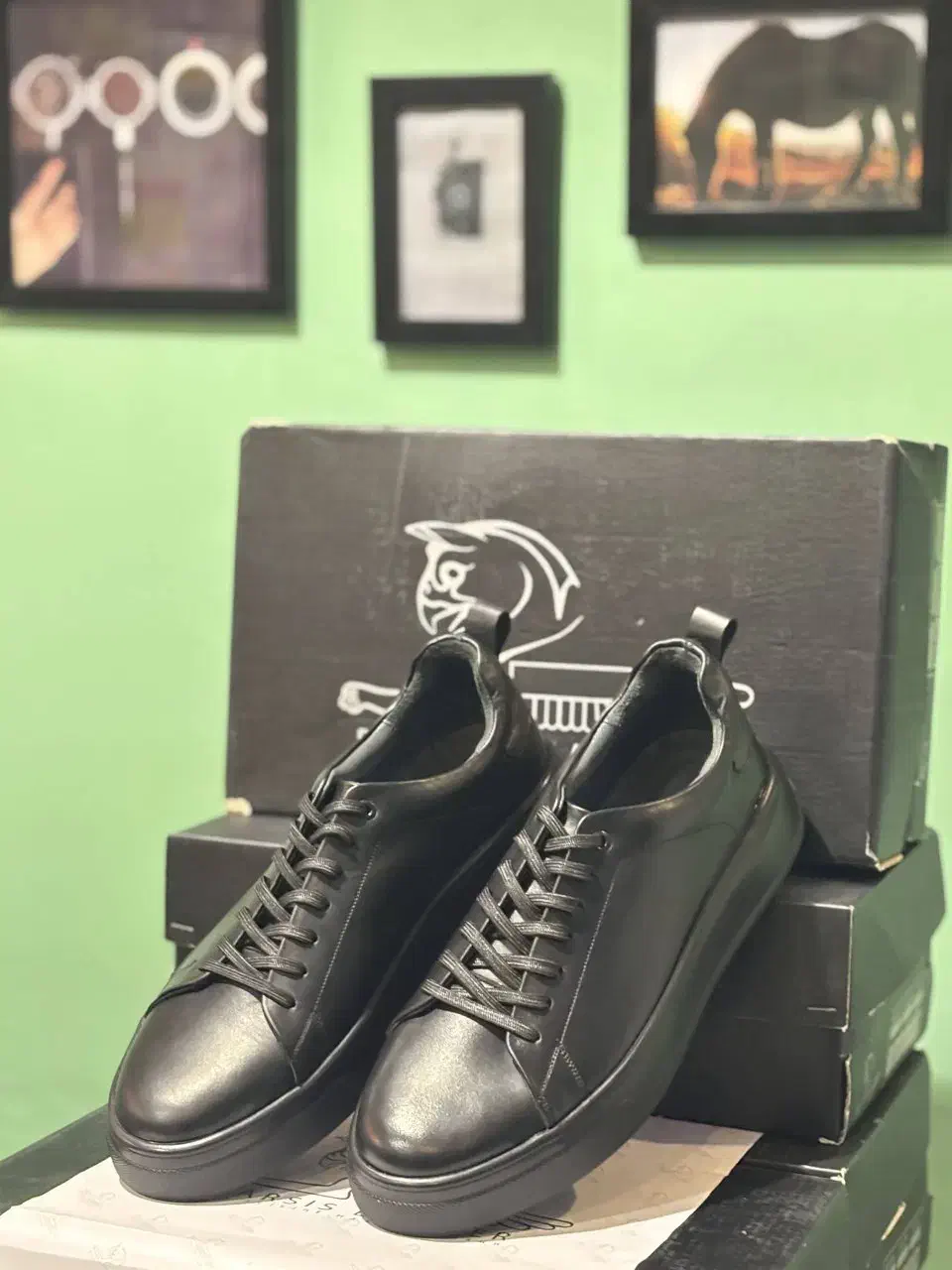 کتونی ونس تمام چرم درجه یک|کیف، کفش، کمربند|رشت, باهنر|دیوار