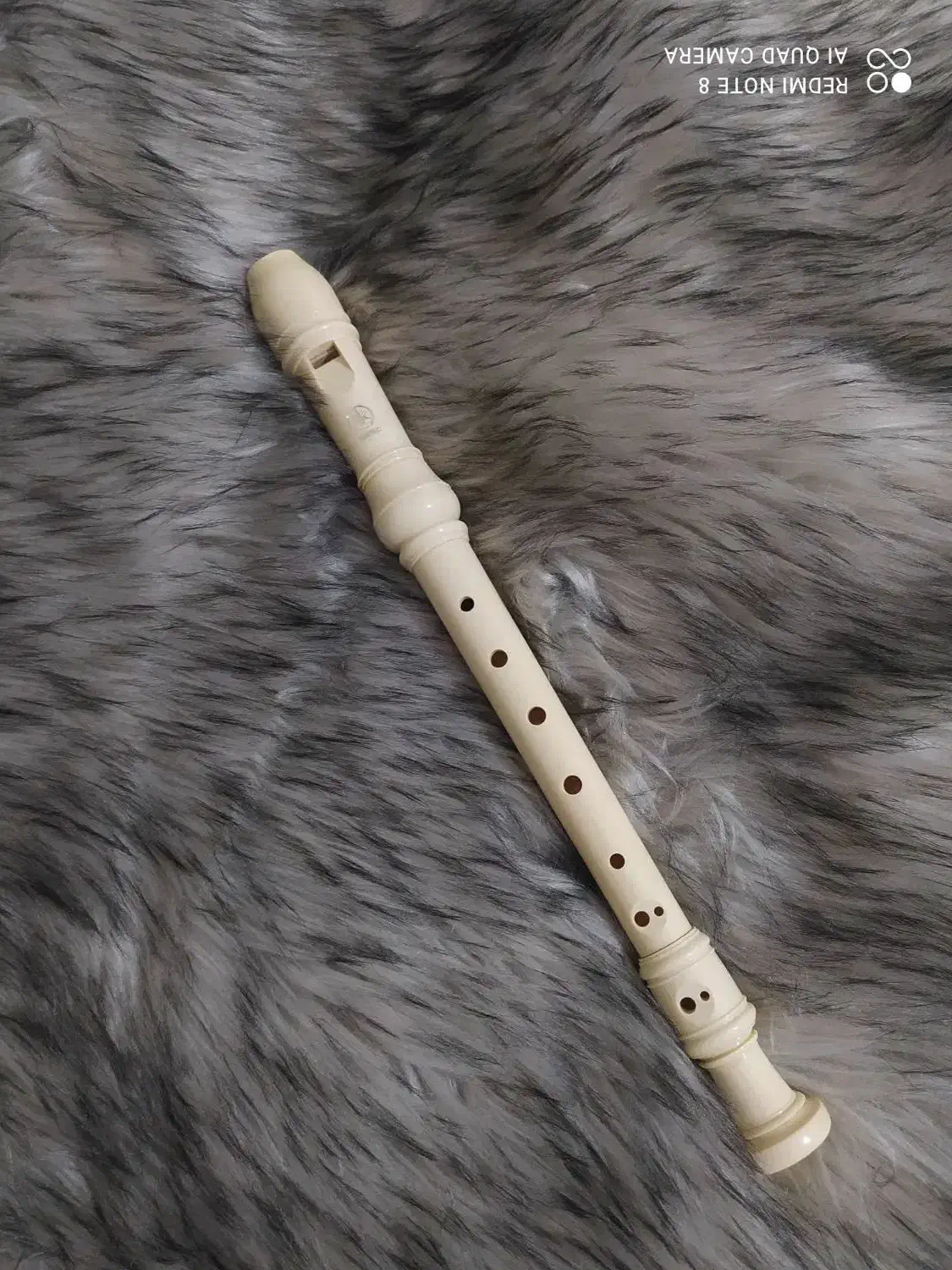 ساز فلوت برند یاماها|سازهای بادی|مشکین‌دشت, |دیوار