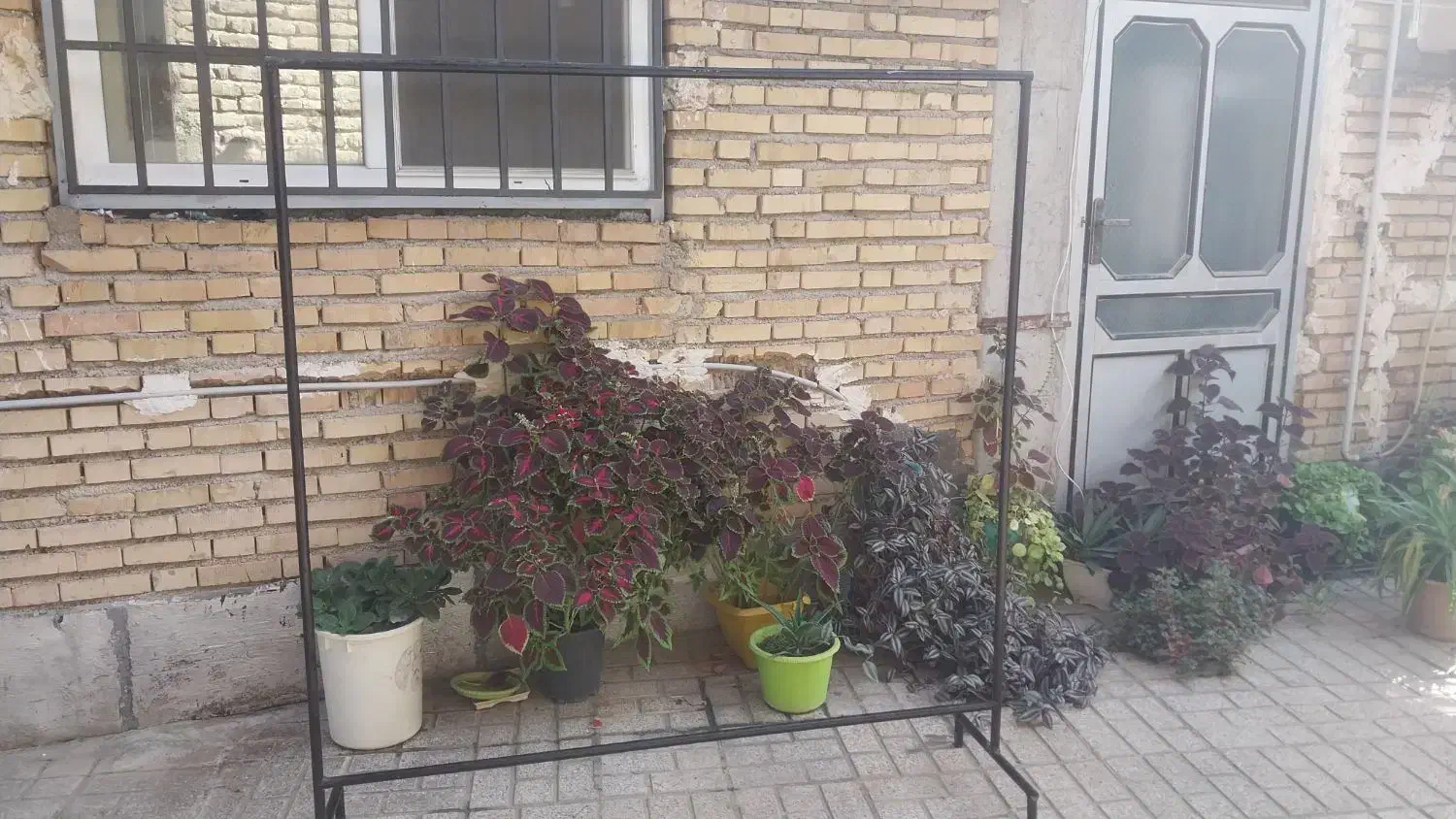 رگال اهنی لباس|بندرخت و رخت‌آویز|کلاله, |دیوار