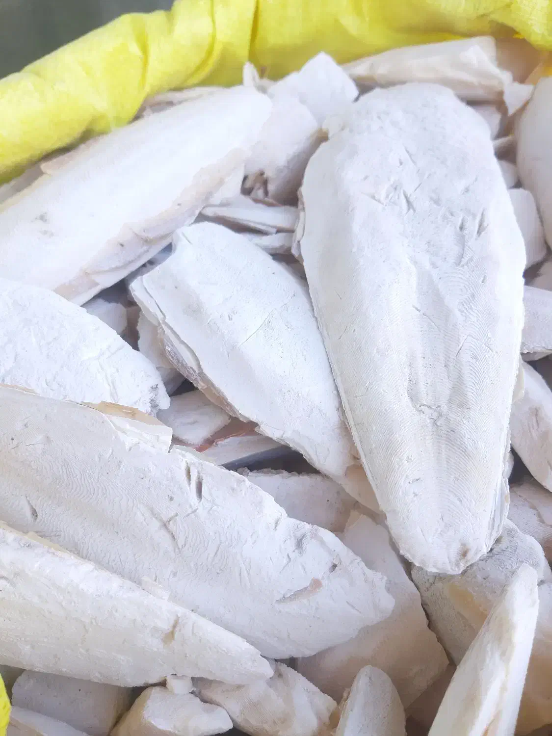 کف دریا|لوازم جانبی حیوانات|مشهد, محمدآباد|دیوار