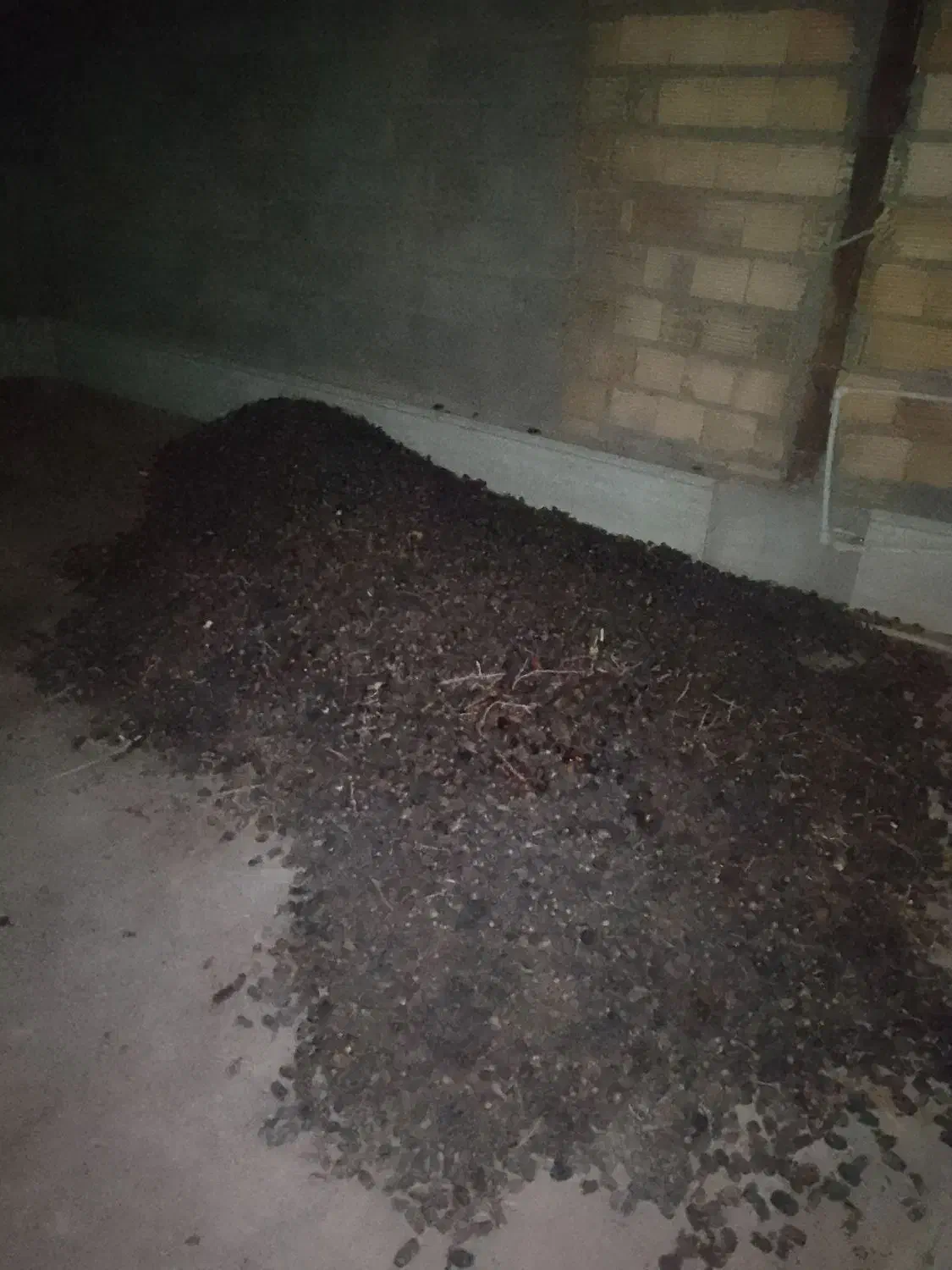 خرما کده|عمده‌فروشی|نرماشیر, |دیوار