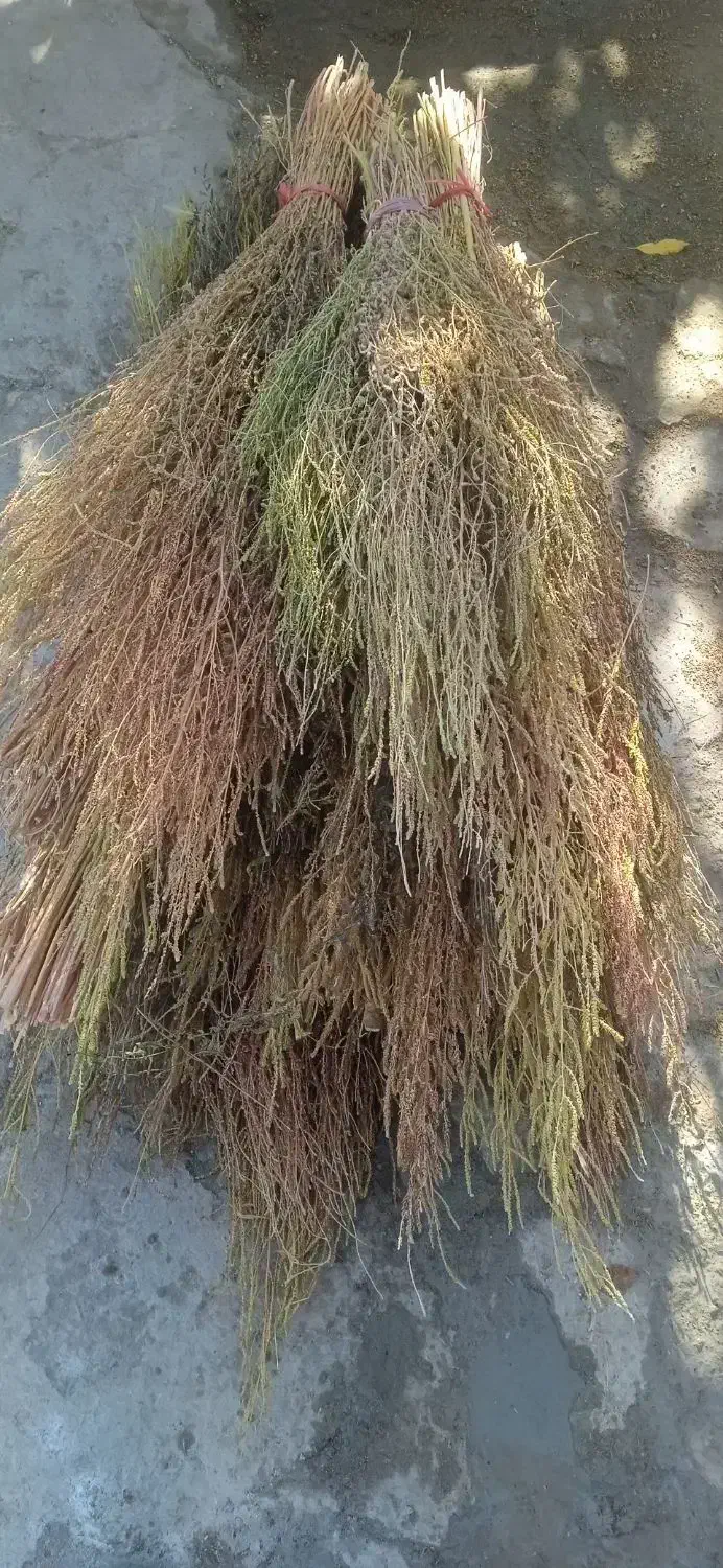 جارومحلی|لوازم نظافت|اراک, |دیوار