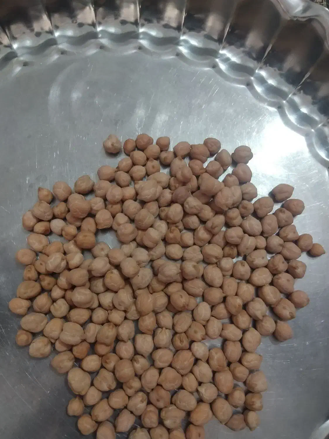 نخود تازه|خوردنی و آشامیدنی|باغ حلی, |دیوار