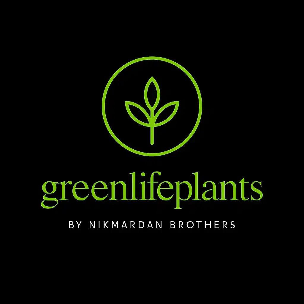 تامین و نگهداری انواع گل و گیاه با تیم مجرب|خدمات باغبانی و درختکاری|ری, بازار گل خاوران|دیوار