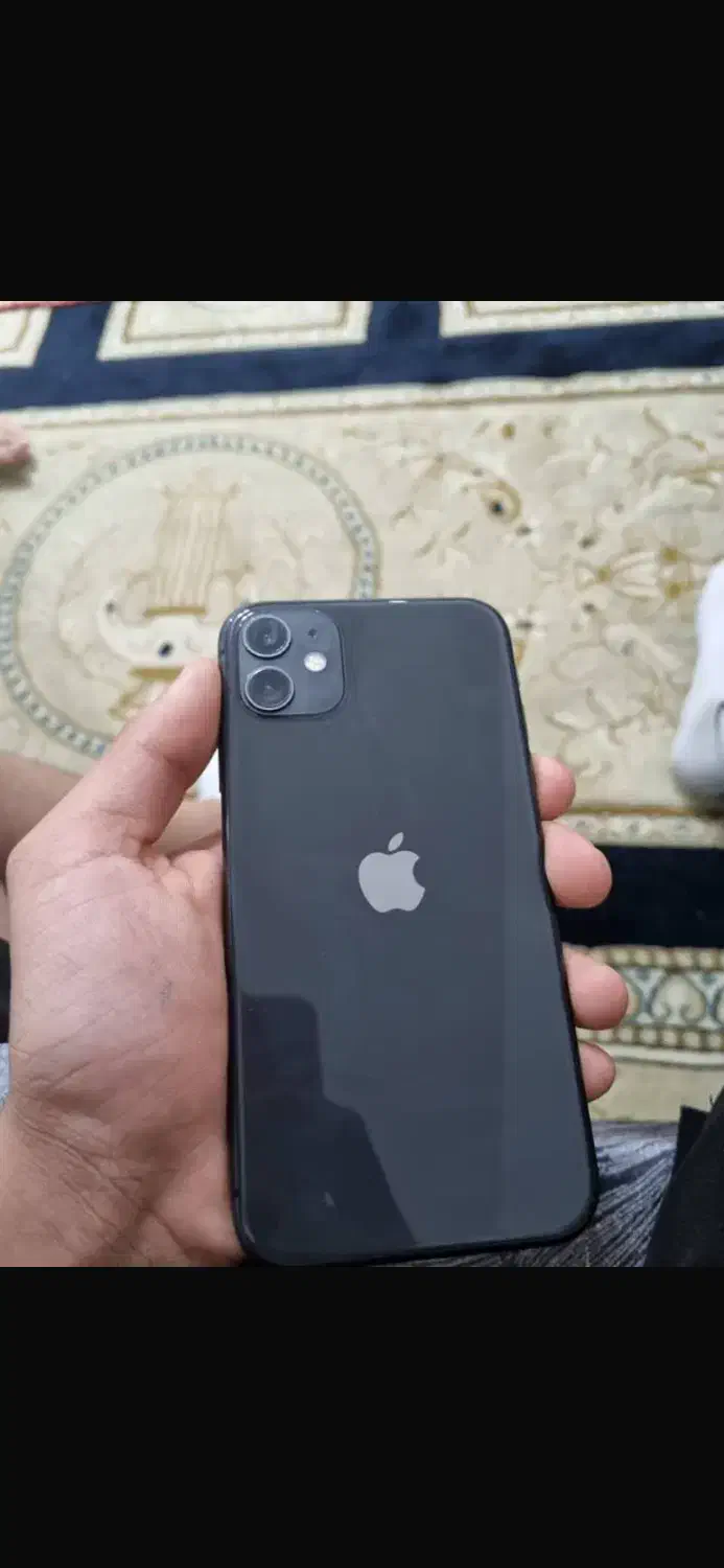 iPhone 11 normal|موبایل|شیراز, ابیوردی|دیوار