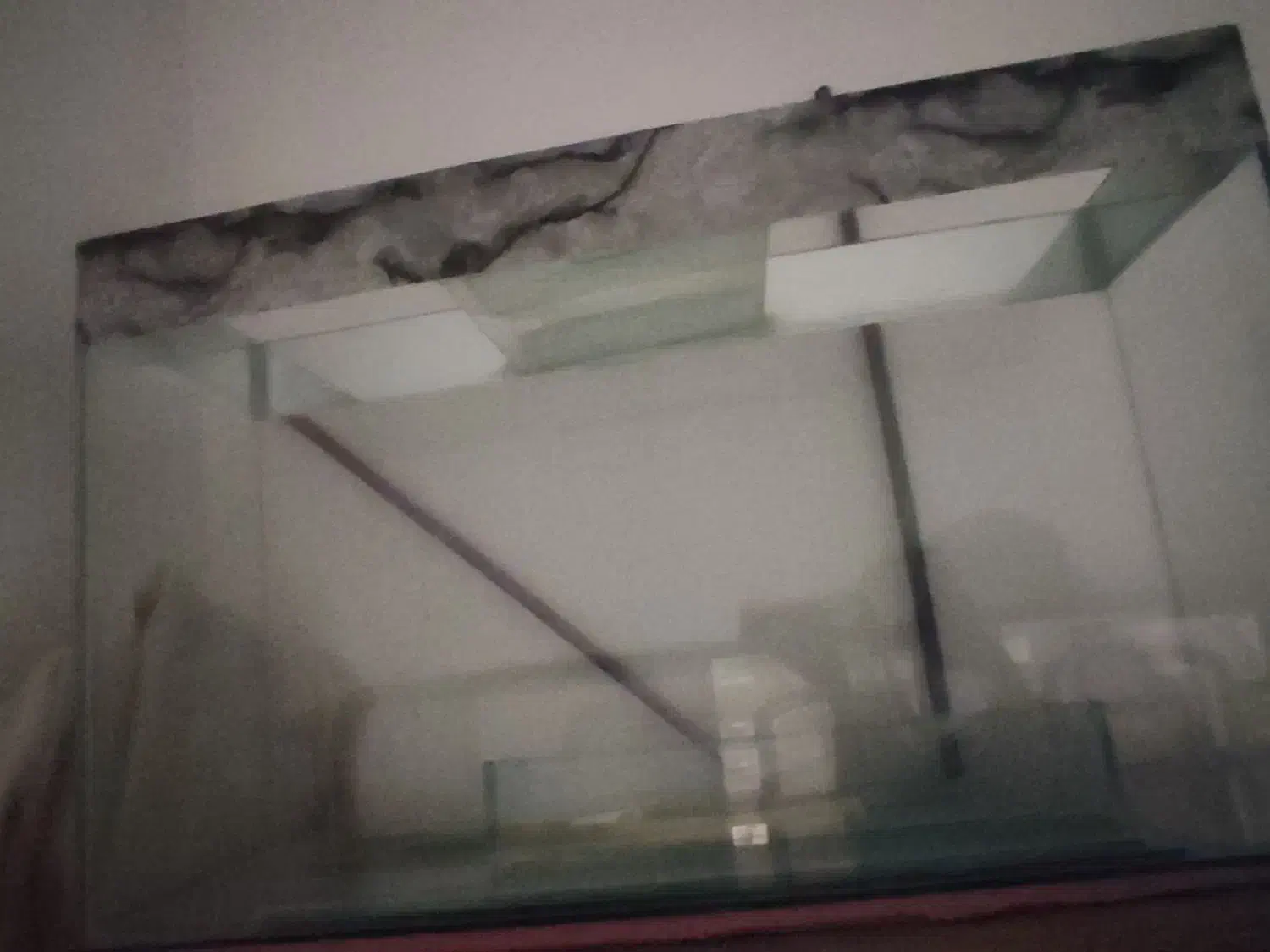 آکواریوم سالم|ماهی|الیگودرز, |دیوار