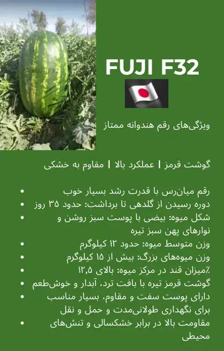 به دنبال سرمایه گذار برای کشت هندوانه|فعالیت داوطلبانه|سیریک, |دیوار