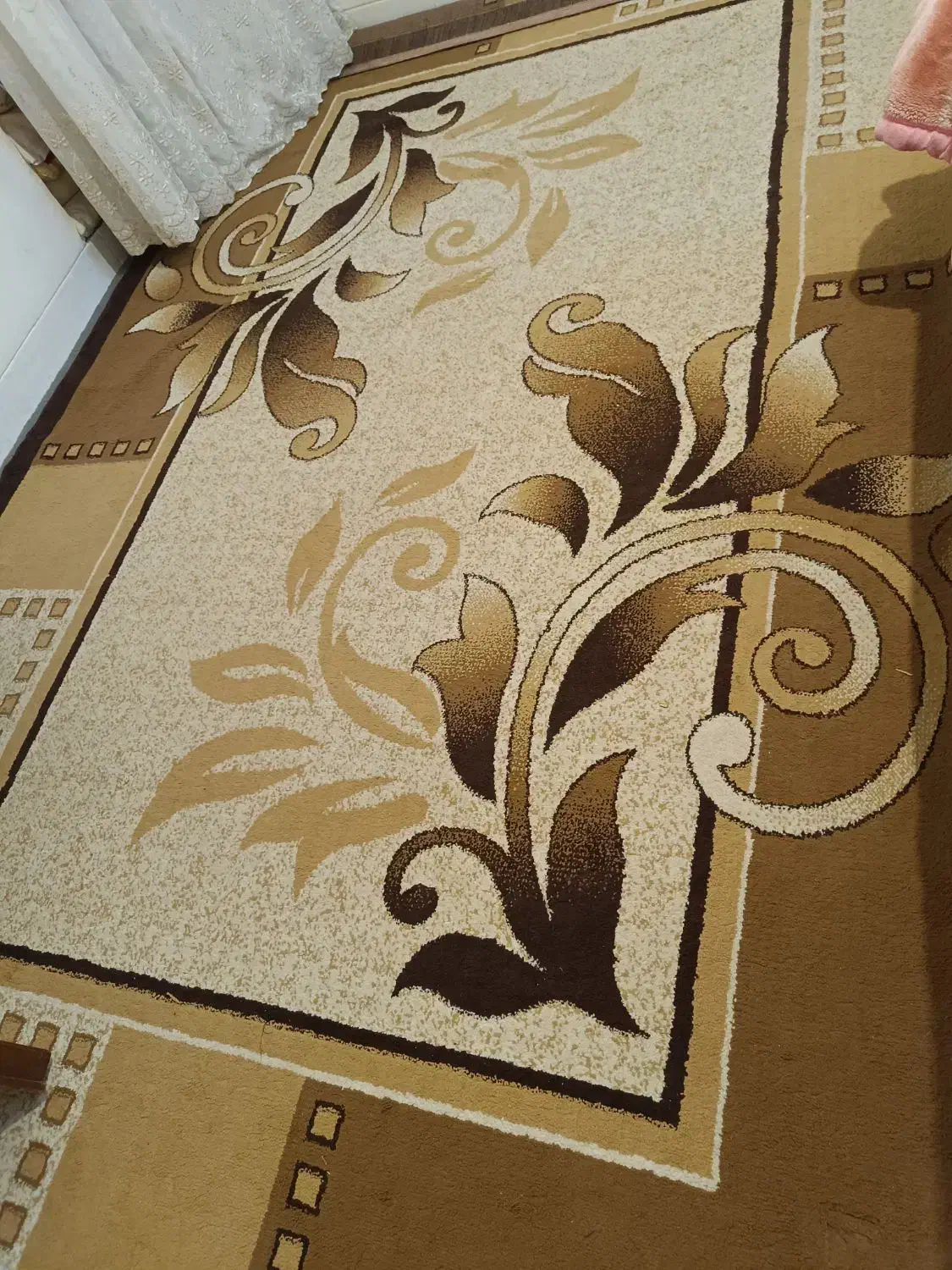 گلیم فرش درحدنوکاملا سالم بدون پارگی|گلیم، جاجیم، گبه|همدان, |دیوار