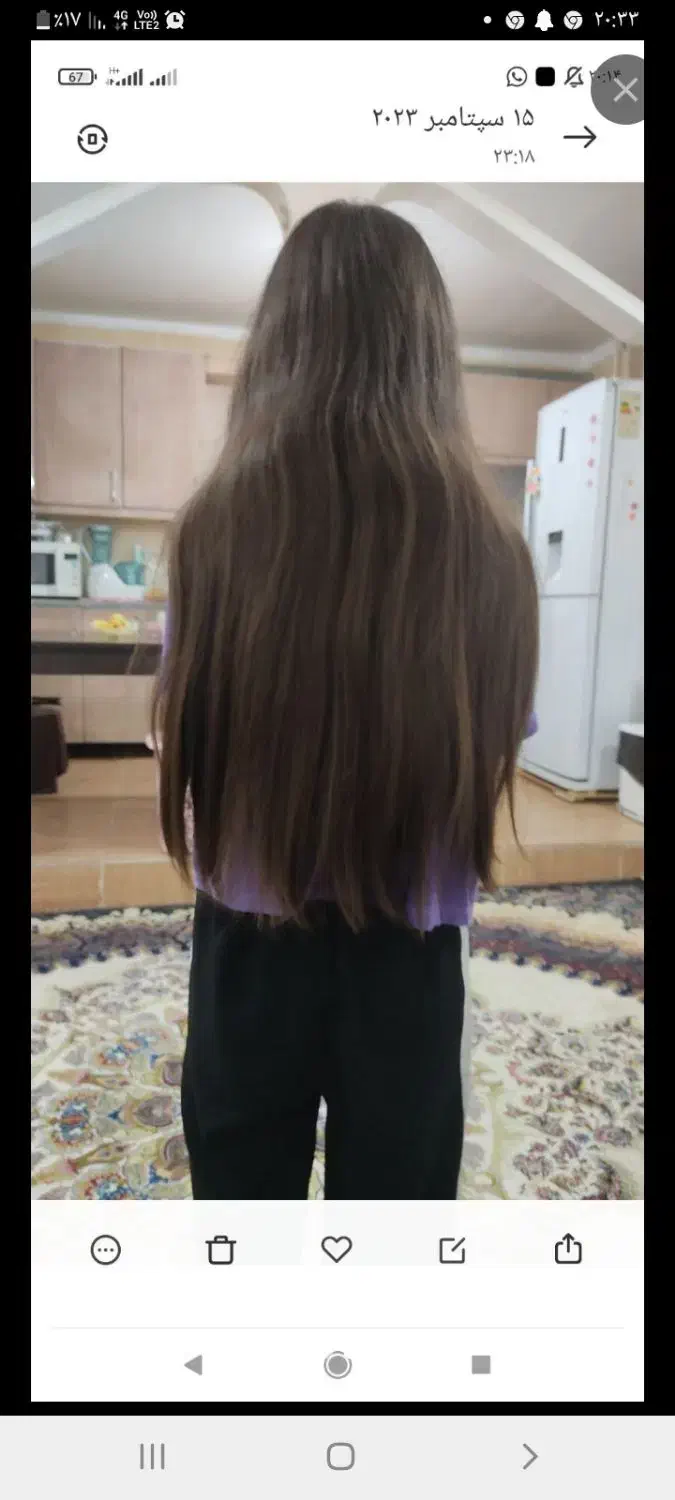 خریدار اصلی مو|آرایشی، بهداشتی، درمانی|شوشتر, |دیوار