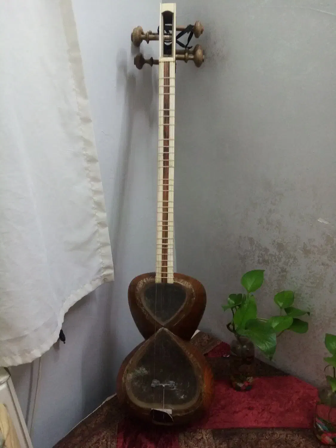 تار|سازهای سنتی|بیرجند, |دیوار