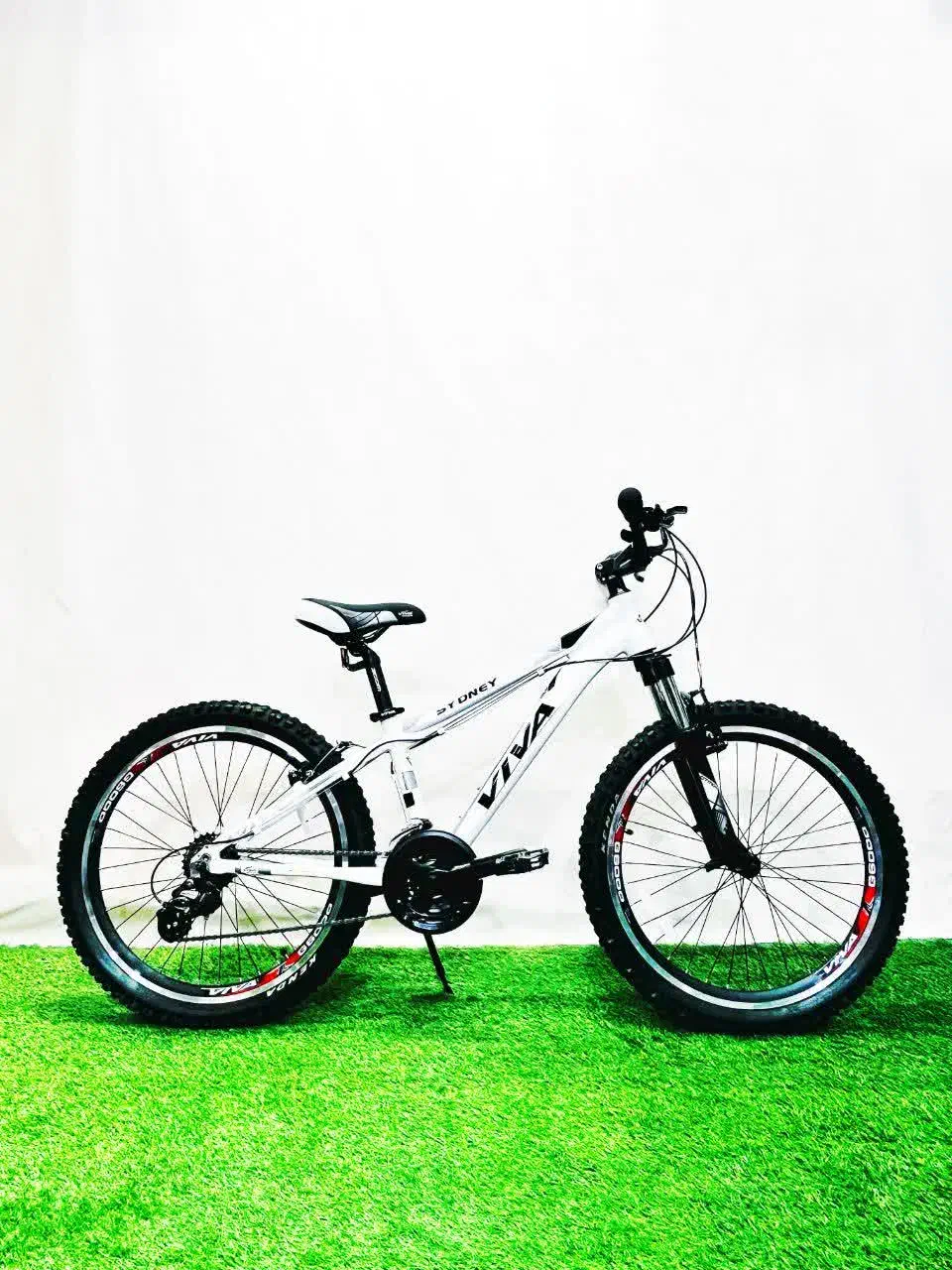 دوچرخه VIVA بدنه آلومینیوم/تجهیزات شیمانو|دوچرخه، اسکیت، اسکوتر|گنبد کاووس, |دیوار