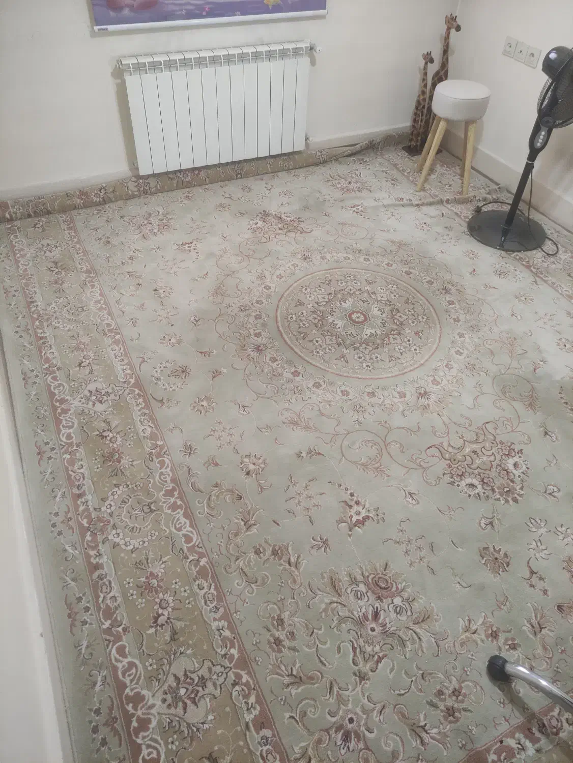 فرش ۱۲ متری|فرش|ابهر, |دیوار