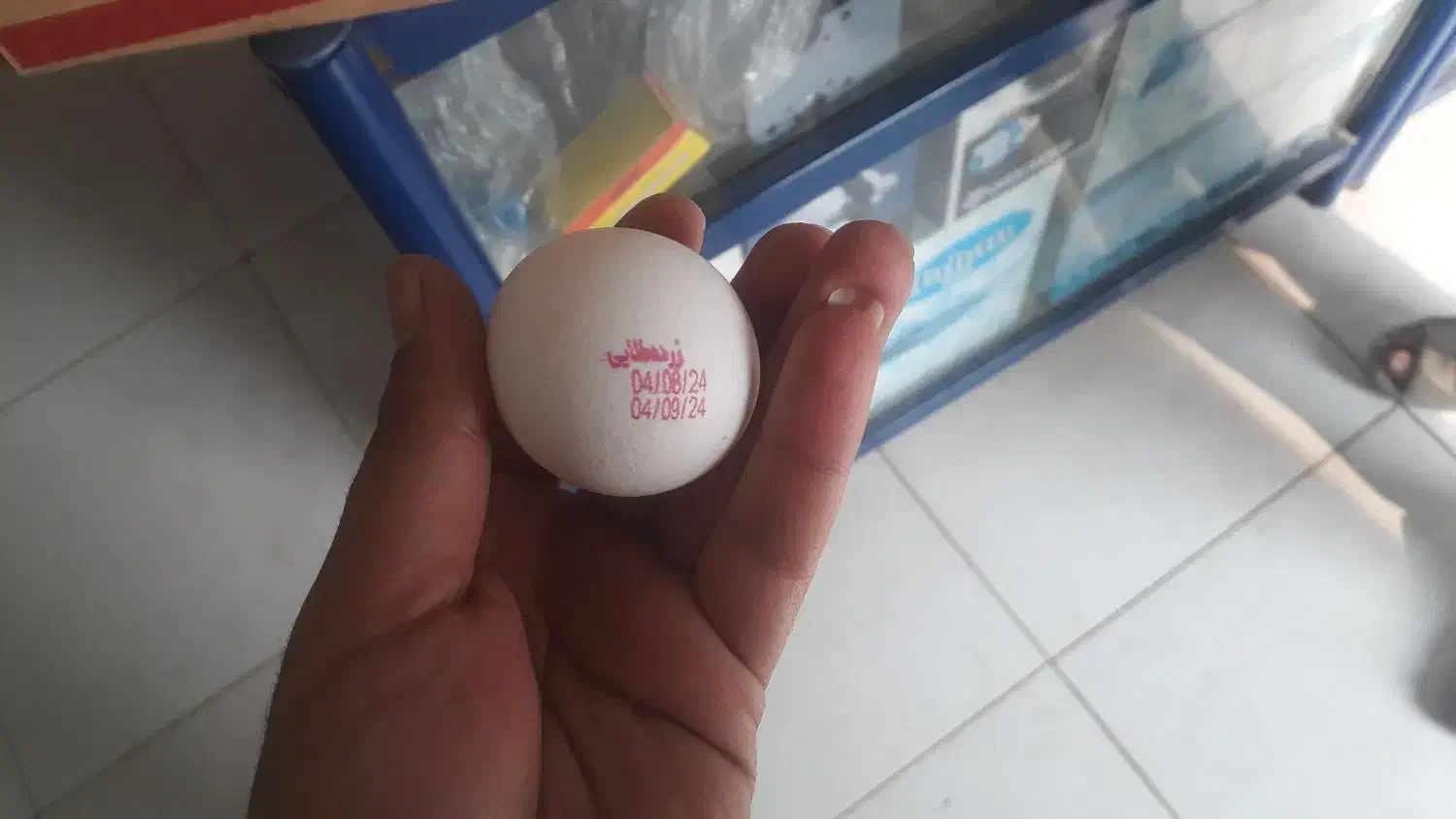 تخم مرغ ۱۲/۵ نگین و هاشم زاده|عمدهفروشی|سوسنگرد, |دیوار