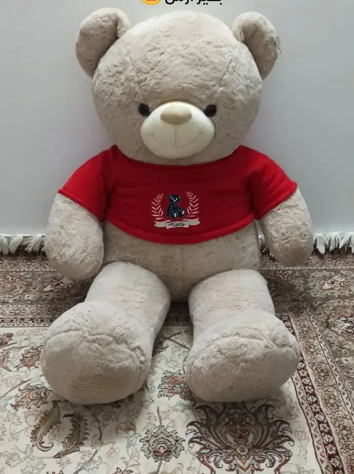 تدی پولیشی|اسباب‌‌بازی|قم, باغ کرباسی|دیوار