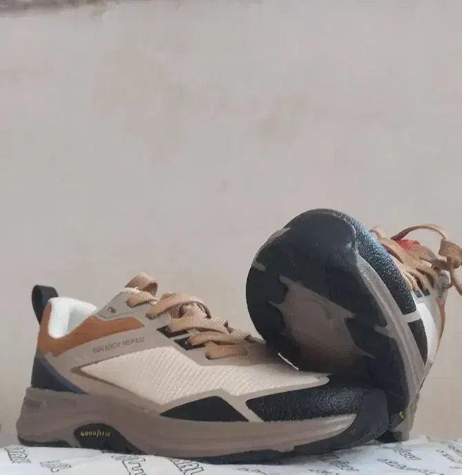 کفش اورجینال|کیف، کفش، کمربند|بانه, |دیوار