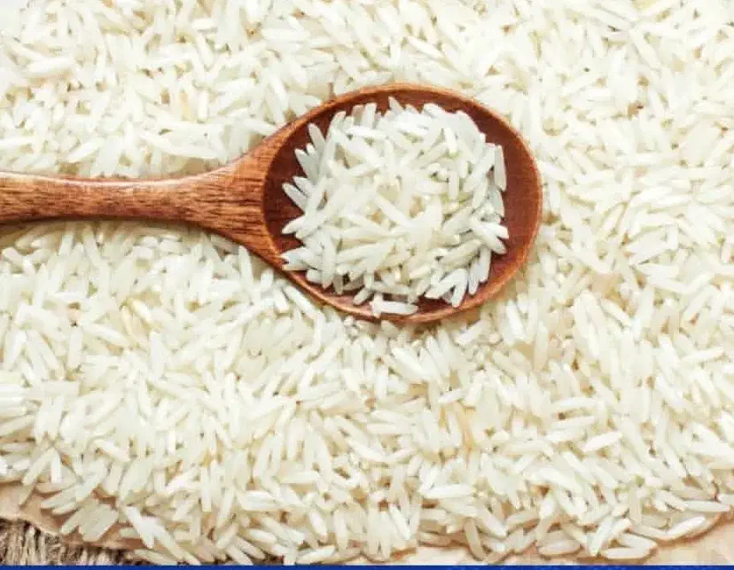 برنج شمال قیمت قدیم|خوردنی و آشامیدنی|کرمانشاه, |دیوار