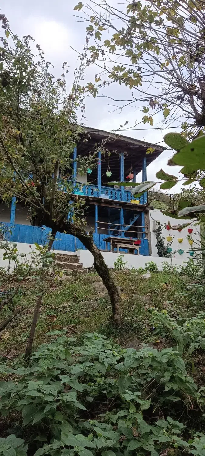 اقامتگاه سنتی جنگلی دربست|اجارهٔ کوتاهمدت ویلا و باغ|رشت, حومه رشت|دیوار