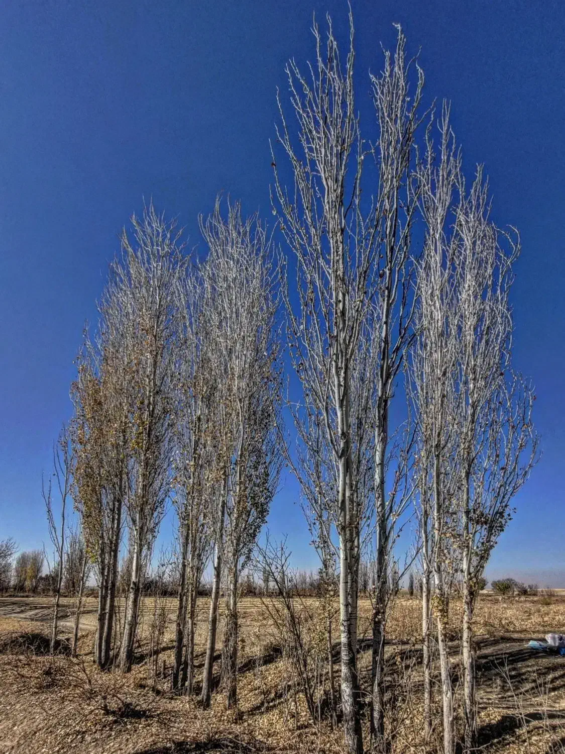 عکس|فعالیت داوطلبانه|تهران, امیرآباد|دیوار