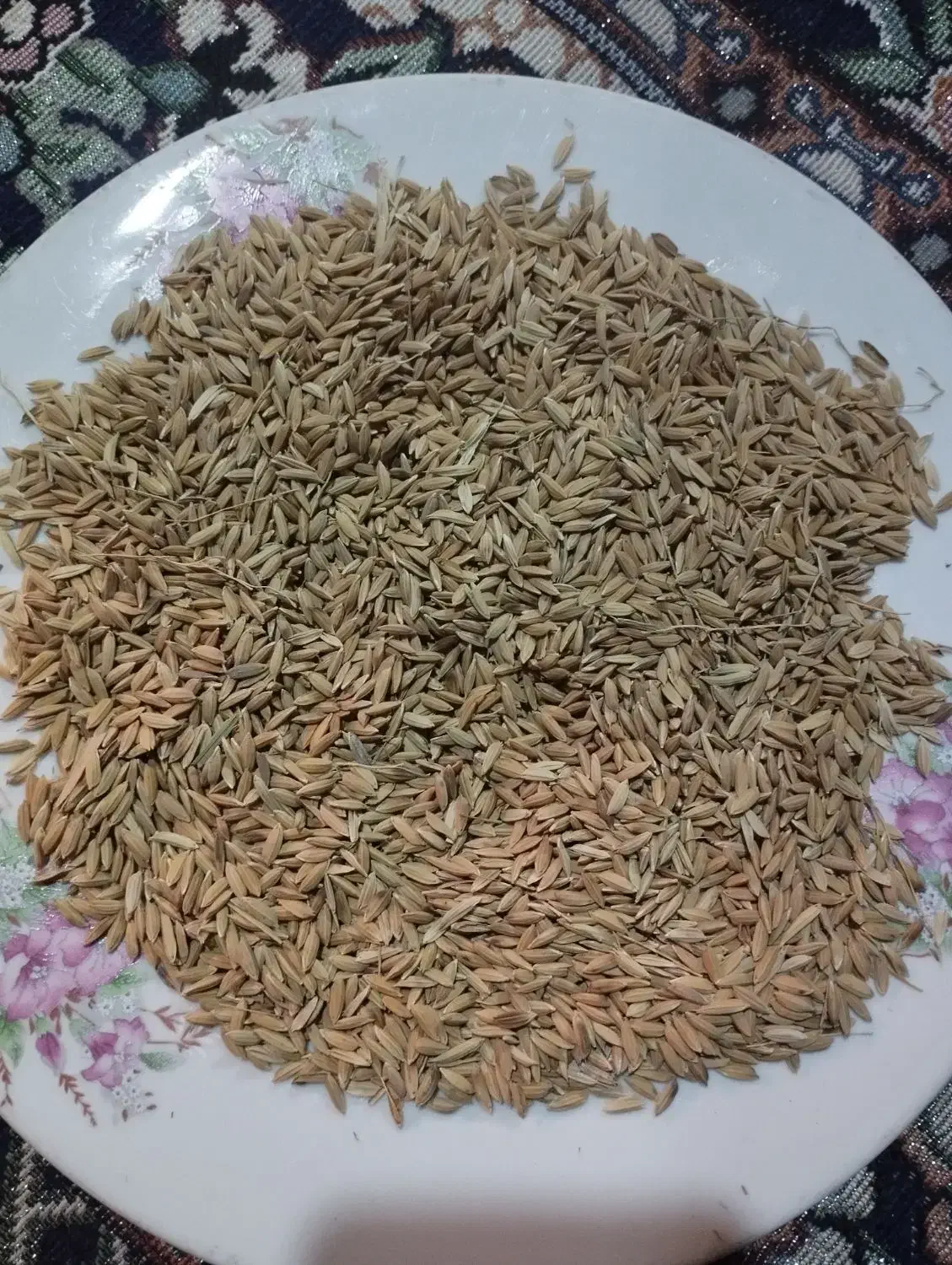 شالی دله درجه یک|خوردنی و آشامیدنی|سنگدوین, |دیوار