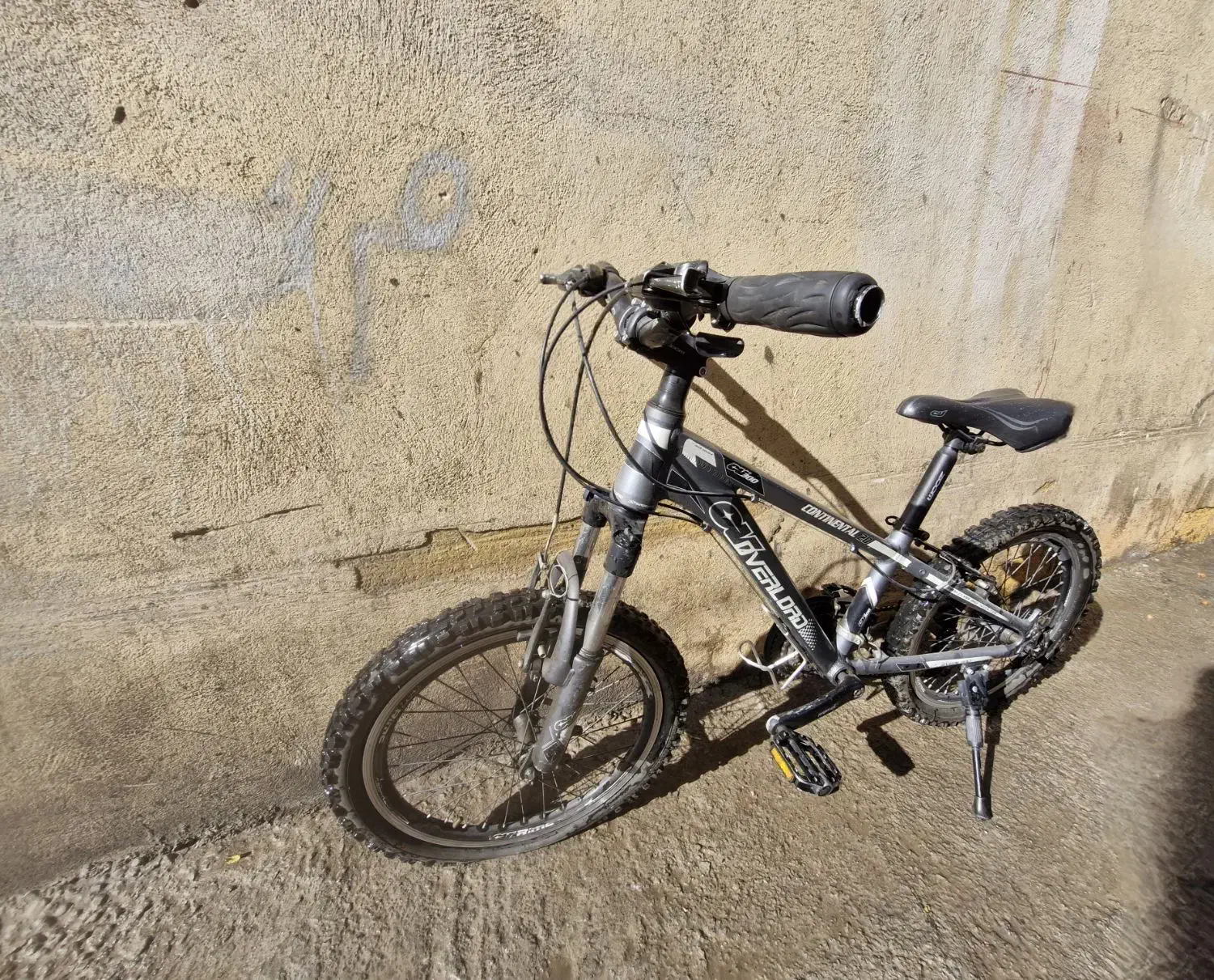 دوچرخه دنده ای سایز ۲۰|دوچرخه، اسکیت، اسکوتر|ری, شهرری|دیوار