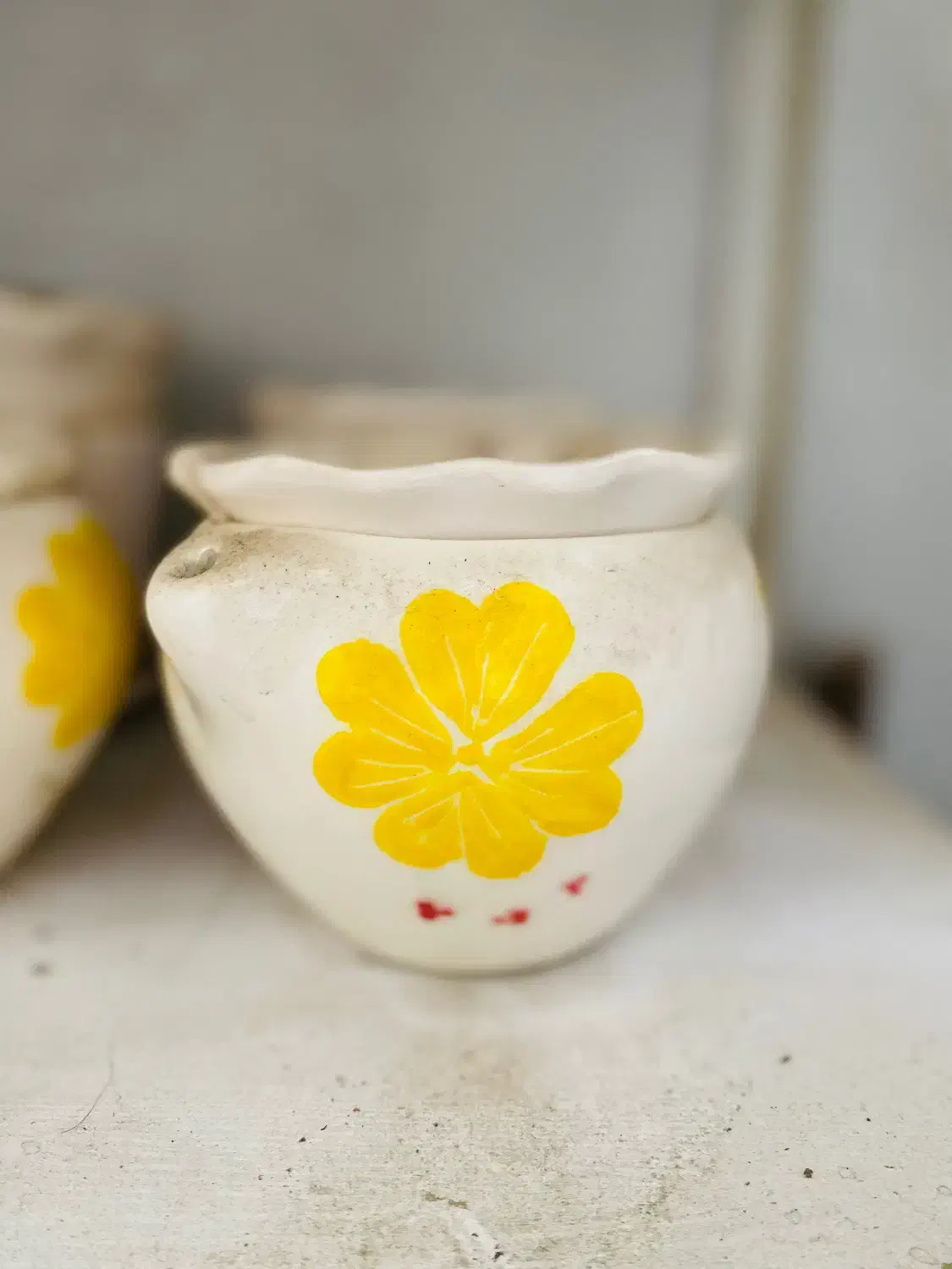 گلدان بنفشه آفریقایی|گل و گیاه طبیعی|تهران, صادقیه|دیوار