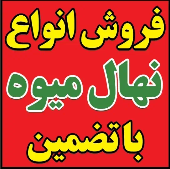 باغچه ای فضای سبز گل بیرون|گل و گیاه طبیعی|سیاهکل, |دیوار