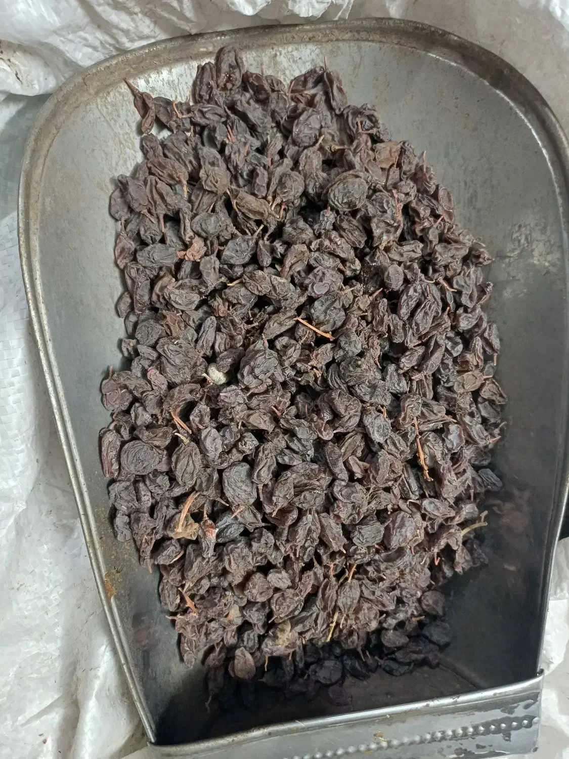 کشمش آفتابی ارگانیک ۱۹۰|خوردنی و آشامیدنی|اسلامشهر, زرافشان|دیوار