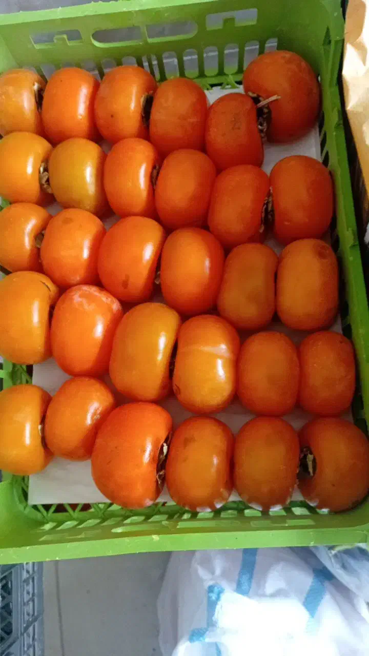 میوه  وسایل ترشی سرکه|خوردنی و آشامیدنی|رباطکریم, شترخوار|دیوار
