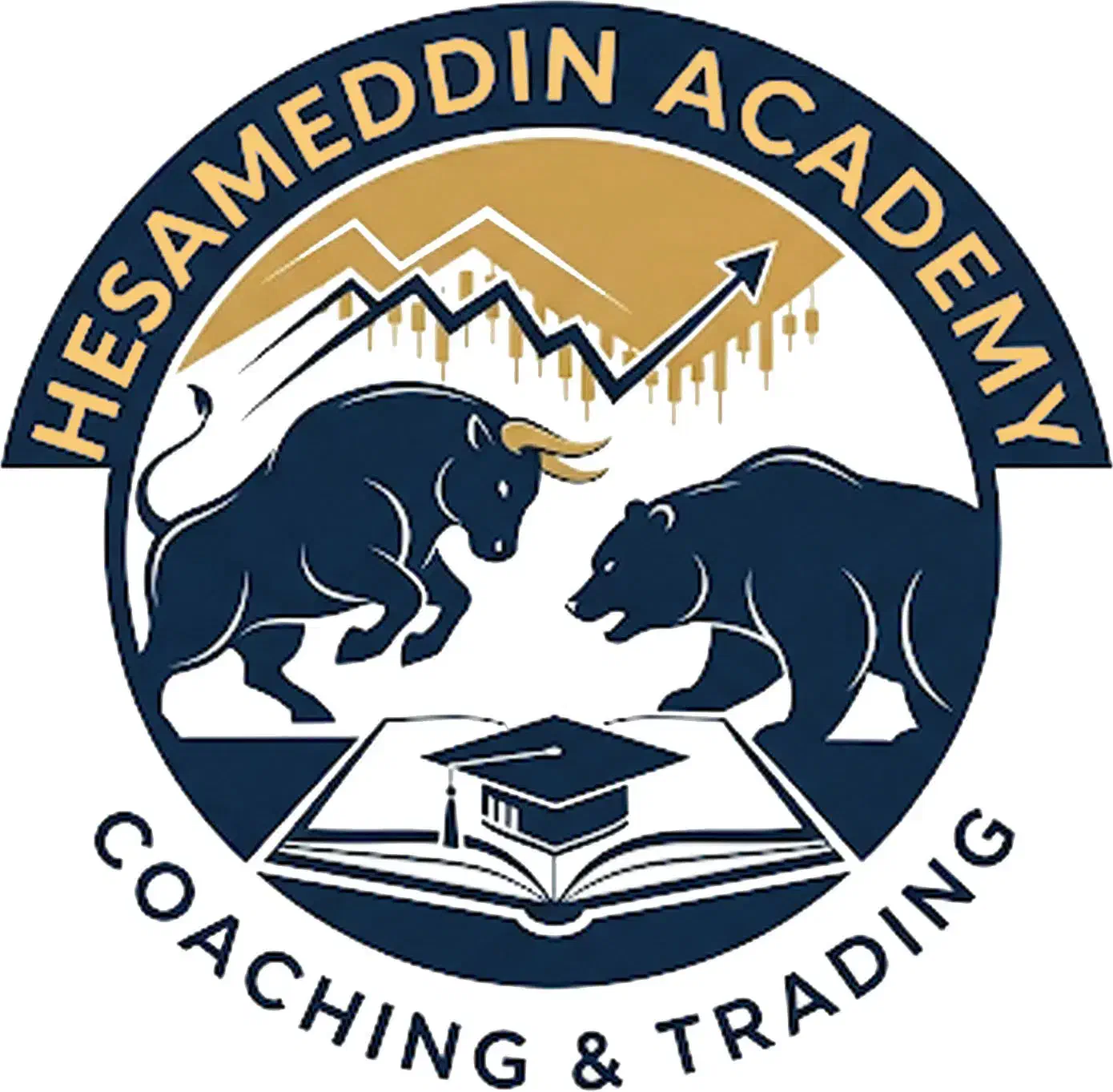 کوچینگ و منتور فارکس|خدمات آموزشی|تهران, اقدسیه|دیوار