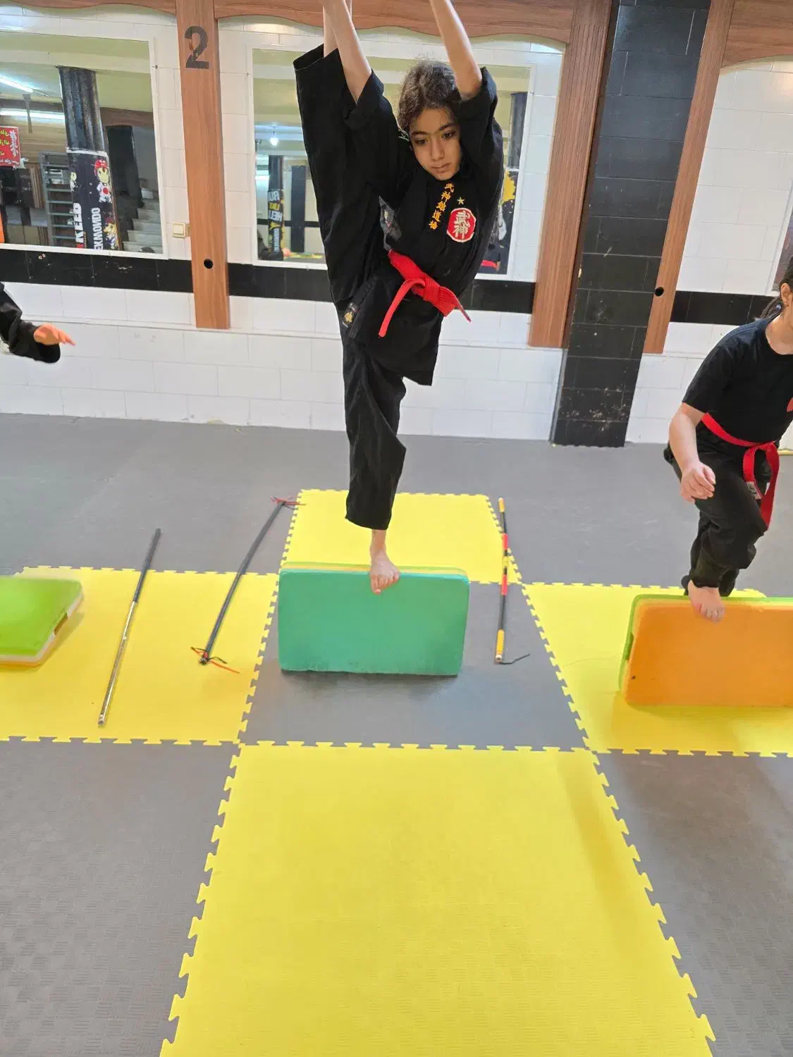 آموزش هنر رزمی نینجوتسو|خدمات آموزشی|کرج, برغان|دیوار