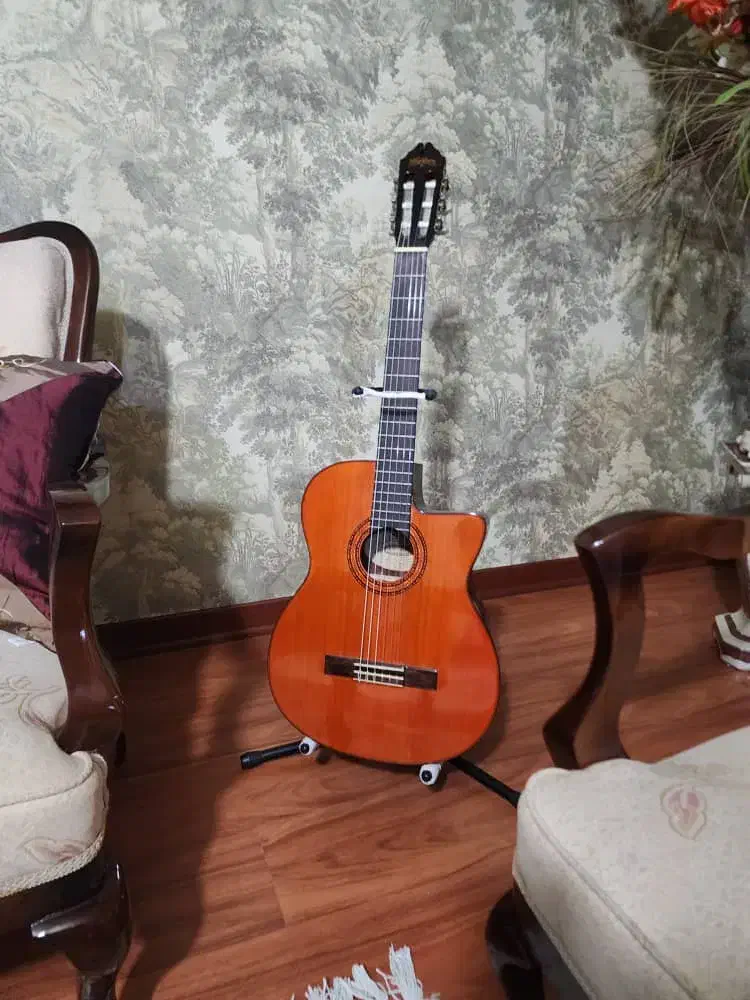 گیتار واشبرن|گیتار، بیس، امپلیفایر|چابکسر, |دیوار