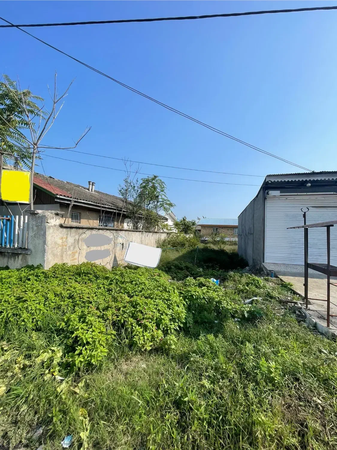 فروش زمین جاده اصلی|فروش زمین و ملک کلنگی|تالش, جوکندان|دیوار