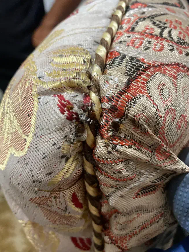 سمپاشی صددرصدتضمینی ساس سوسک و ..بامجوزرسمی بهداشت|خدمات نظافت|فردیس, نسترن غربی|دیوار