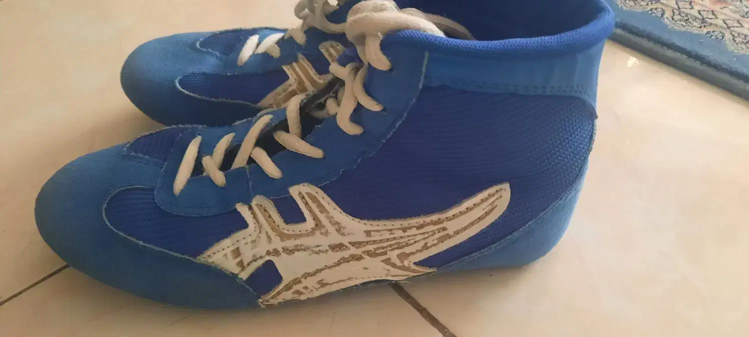 کفش کشتی|کیف، کفش، کمربند|شیراز, کاراندیش|دیوار