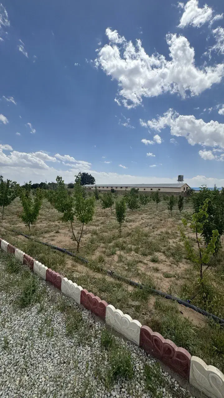 فروش باغچه ۵۰۰ متری چاه تپه آماده|فروش دفتر صنعتی، کشاورزی، تجاری|زرندیه, |دیوار