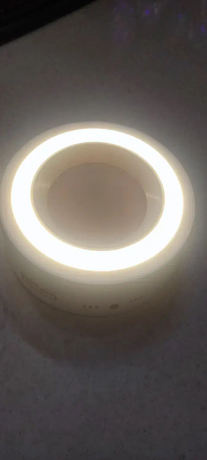 چراغ زیر سقفی|لامپ و چراغ|یزد, |دیوار