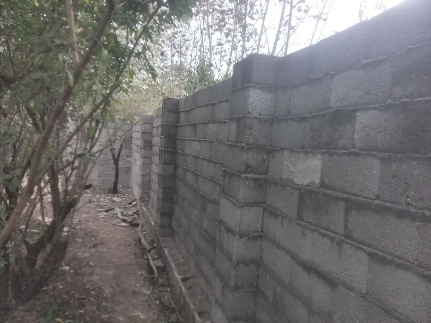 سیمان کاری ، بلوک چینی ، سفال چینی ، بتن ریزی|خدمات پیشه و مهارت|فومن, |دیوار