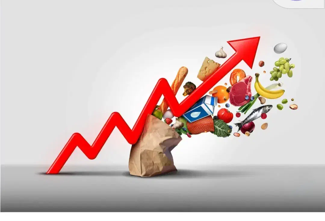 شغل دوم درآمد اول روزانه ۲ میلیون به بالا قانونی|استخدام رایانه و فناوری اطلاعات|اهواز, کیانپارس |دیوار