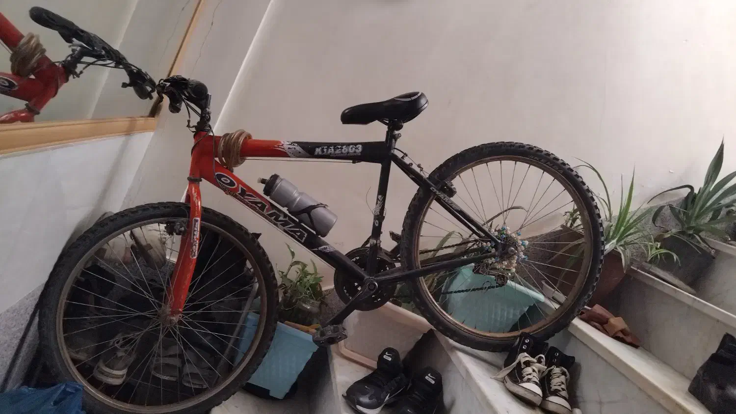 دوچرخه سالم|دوچرخه، اسکیت، اسکوتر|اقبالیه, |دیوار