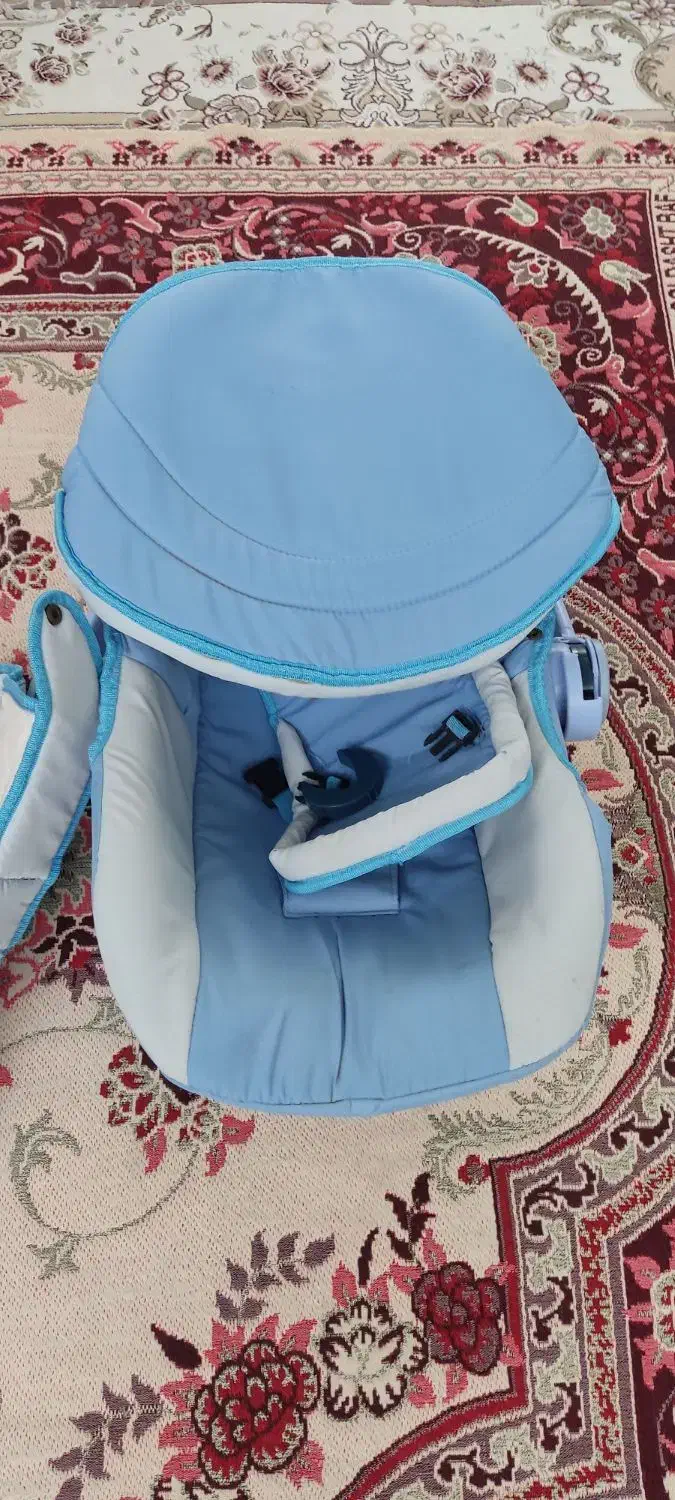 کریر دلیجان|کالسکه و لوازم جانبی|نجف‌آباد, ۲۲ بهمن|دیوار